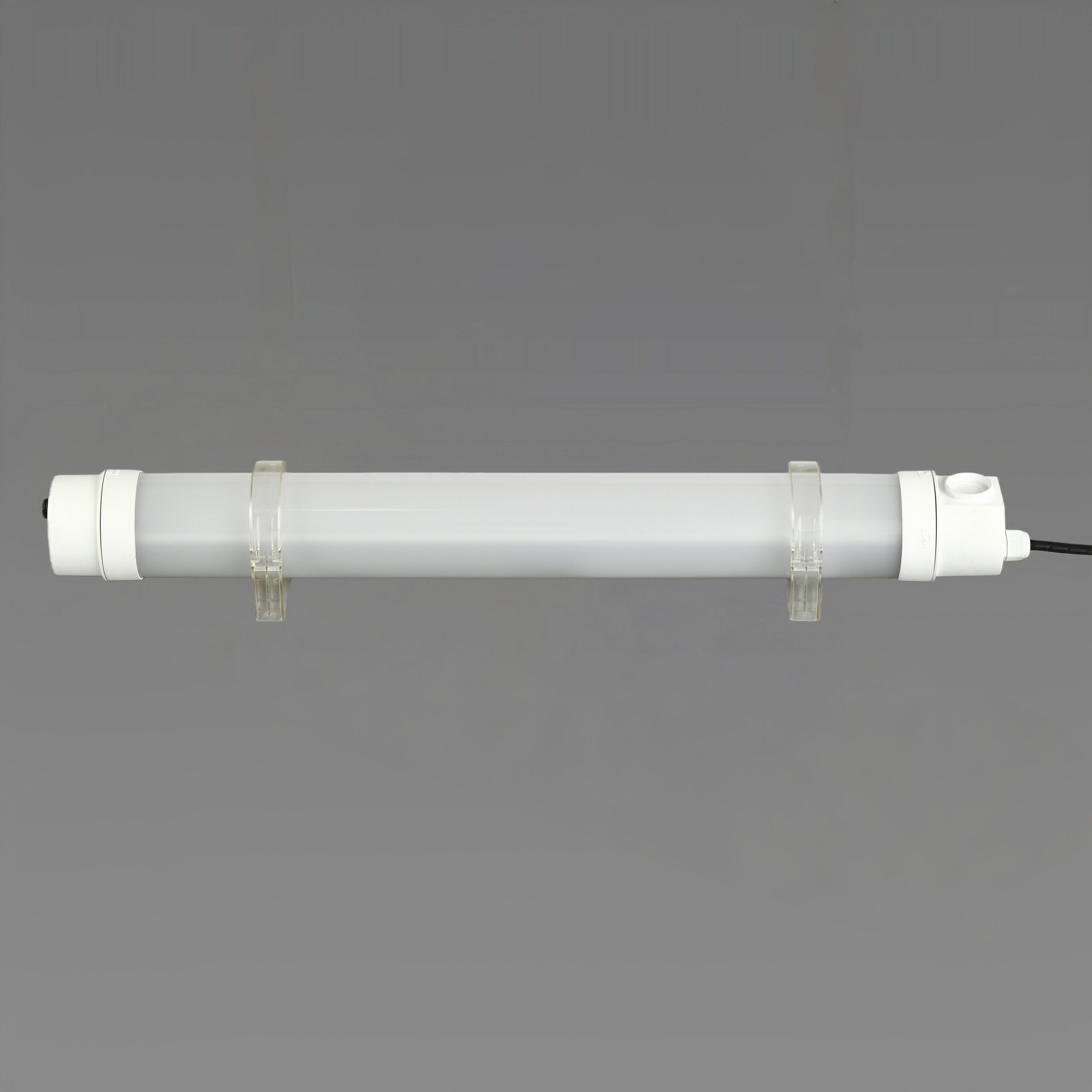 MANI IP65 IK10 tubular LED light with PIR sensor