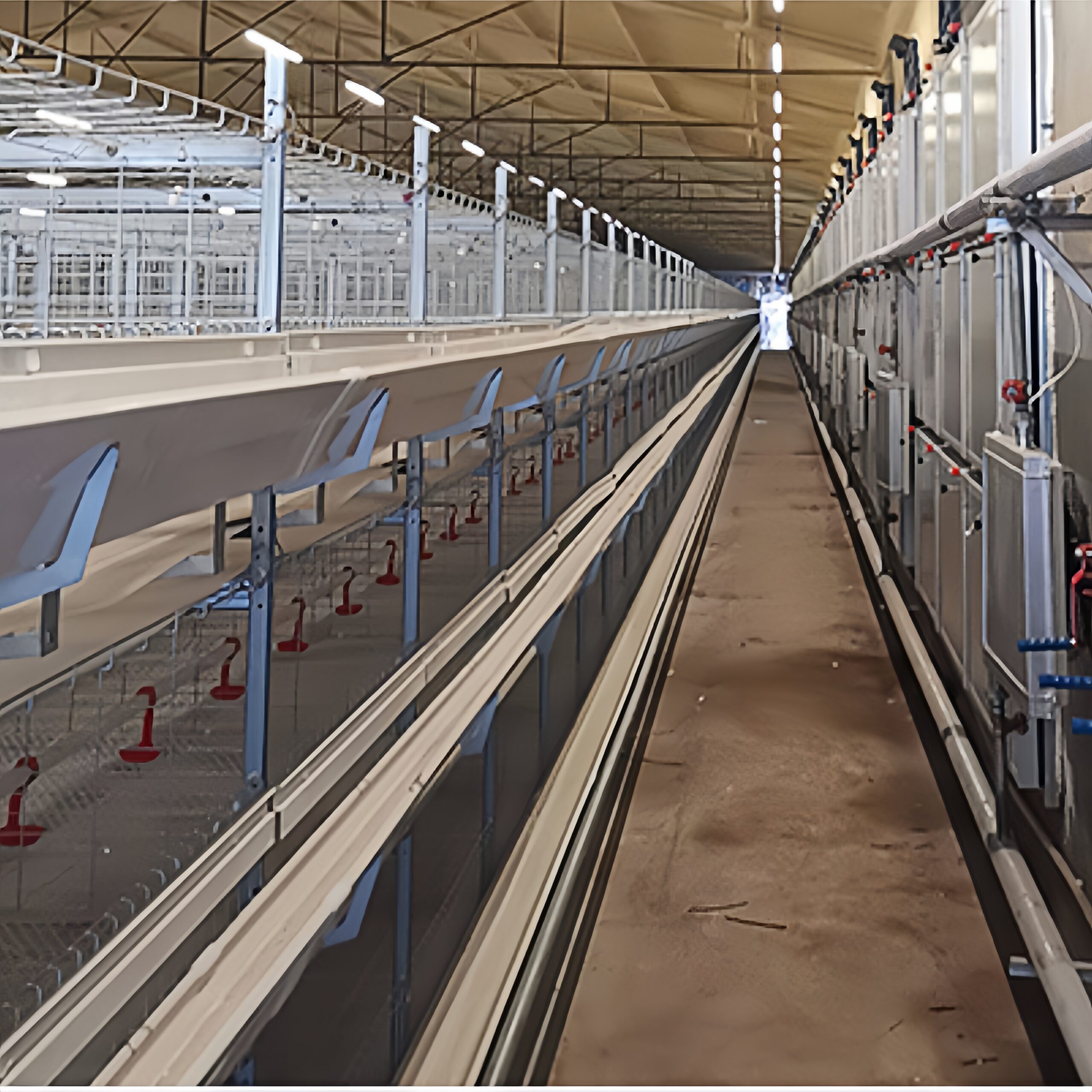 MANI IP67 Ik10 Tri-Proof Tubular use in poultry farm