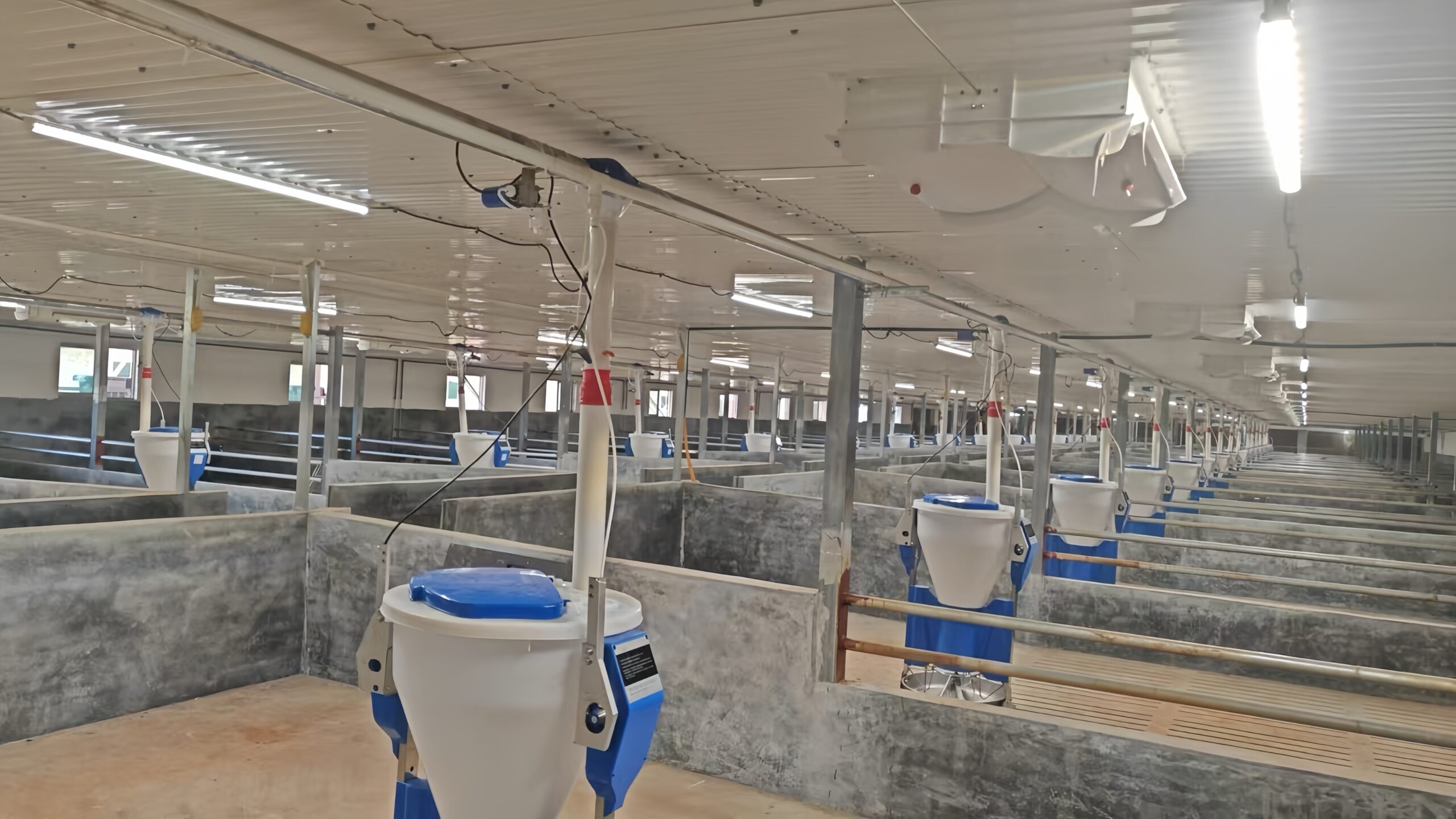 MANI IP69K tubular lighting solution for poultry farms