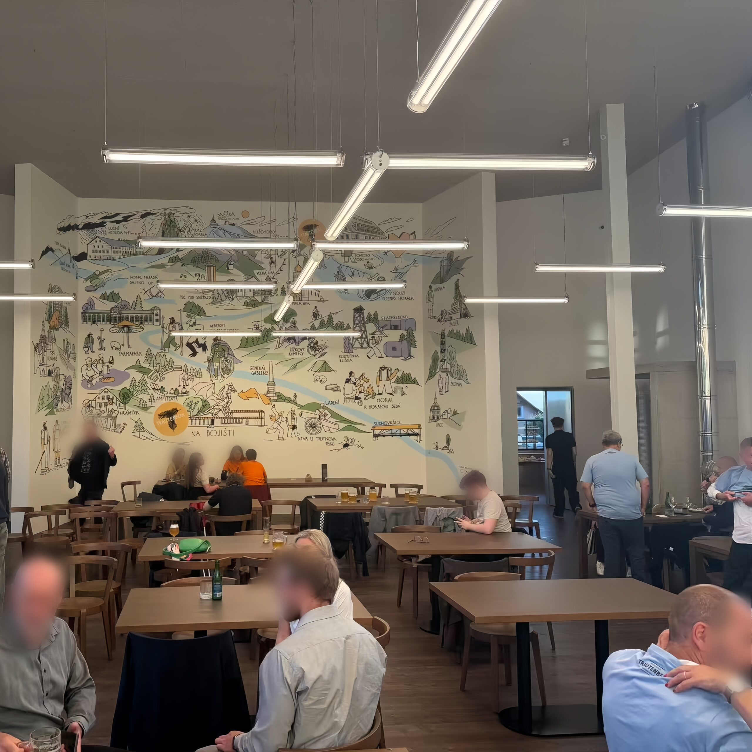 Suspended T8 tubular lighting installed in a restaurant
